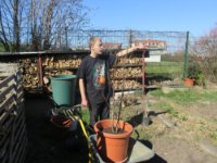 ein Bild aus dem Album